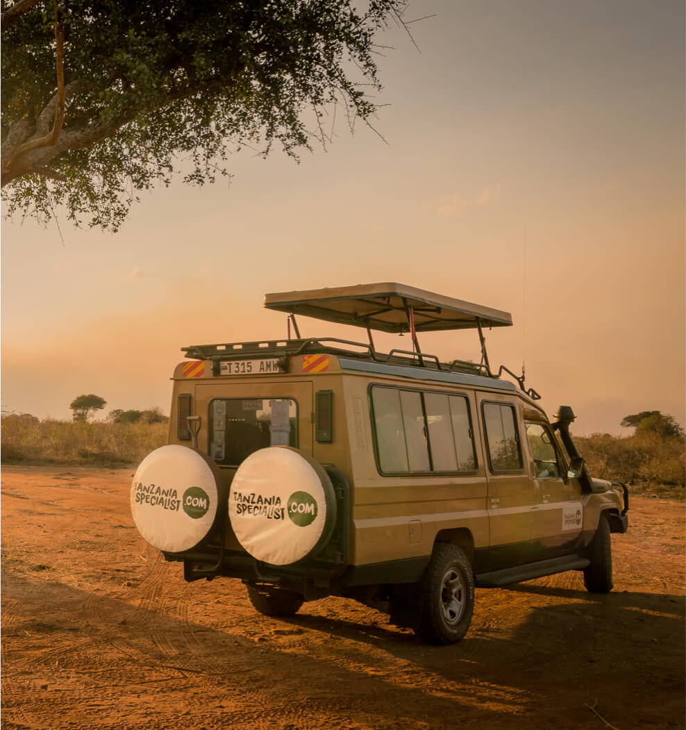 Ferie i Tanzania. Tanzania Specialist jeep