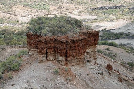 Ndutu Olduvai Gorge Tanzania