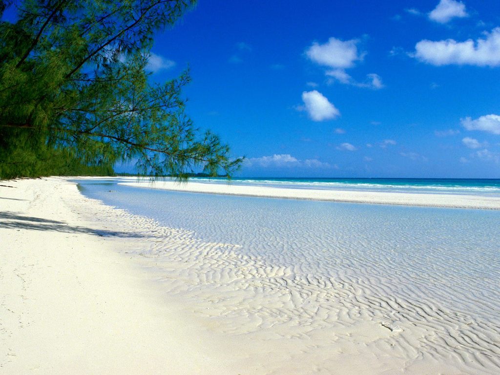 Pemba Island strand, Tanzania