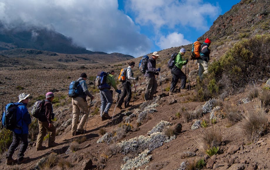 Vandrere opp Kilimanjaro-fjellet i Tanzania