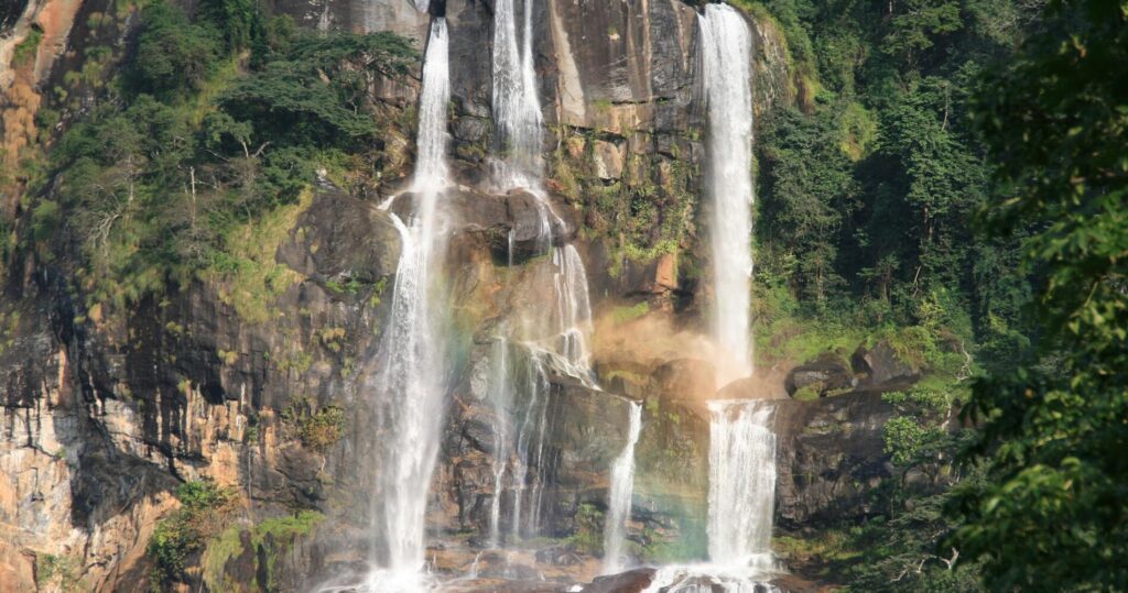 Udzungwa Sanje Tanzania foss