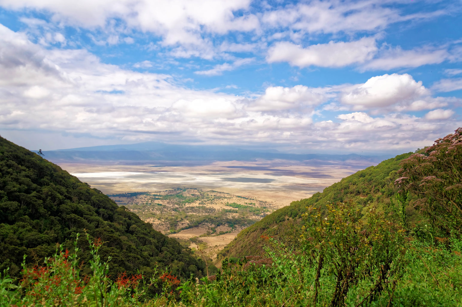 Ngorongoro naturvernområde (inkl. krateret)
