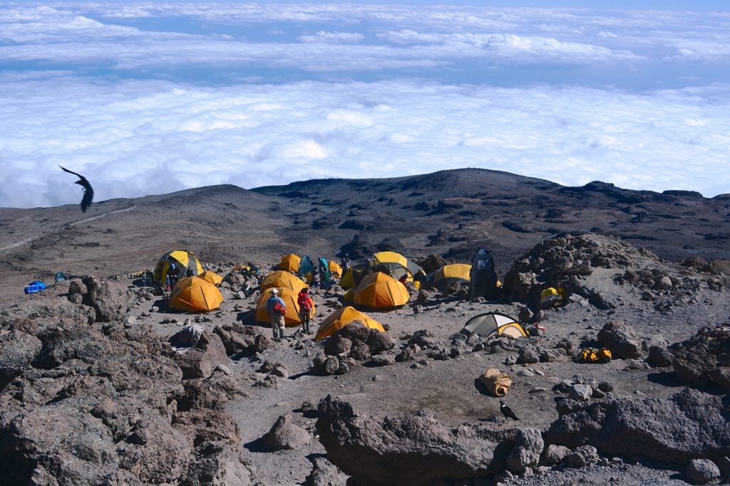 Machame route (4/6) | Barranco Camp (3 950 m) - Barafu Camp (4 645 m)