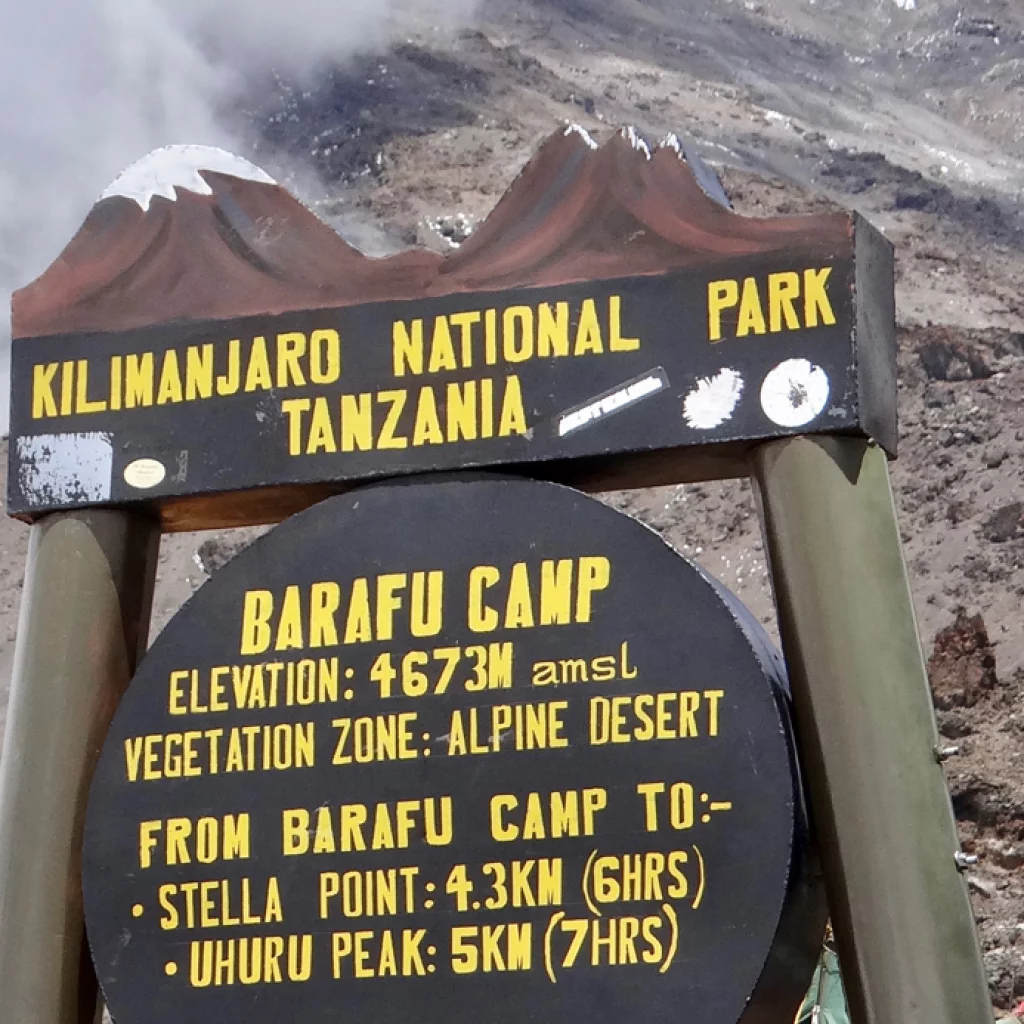 Machame Route (5/7) | Karanga Camp (4 040 m) – Barafu Camp (4 645 m)