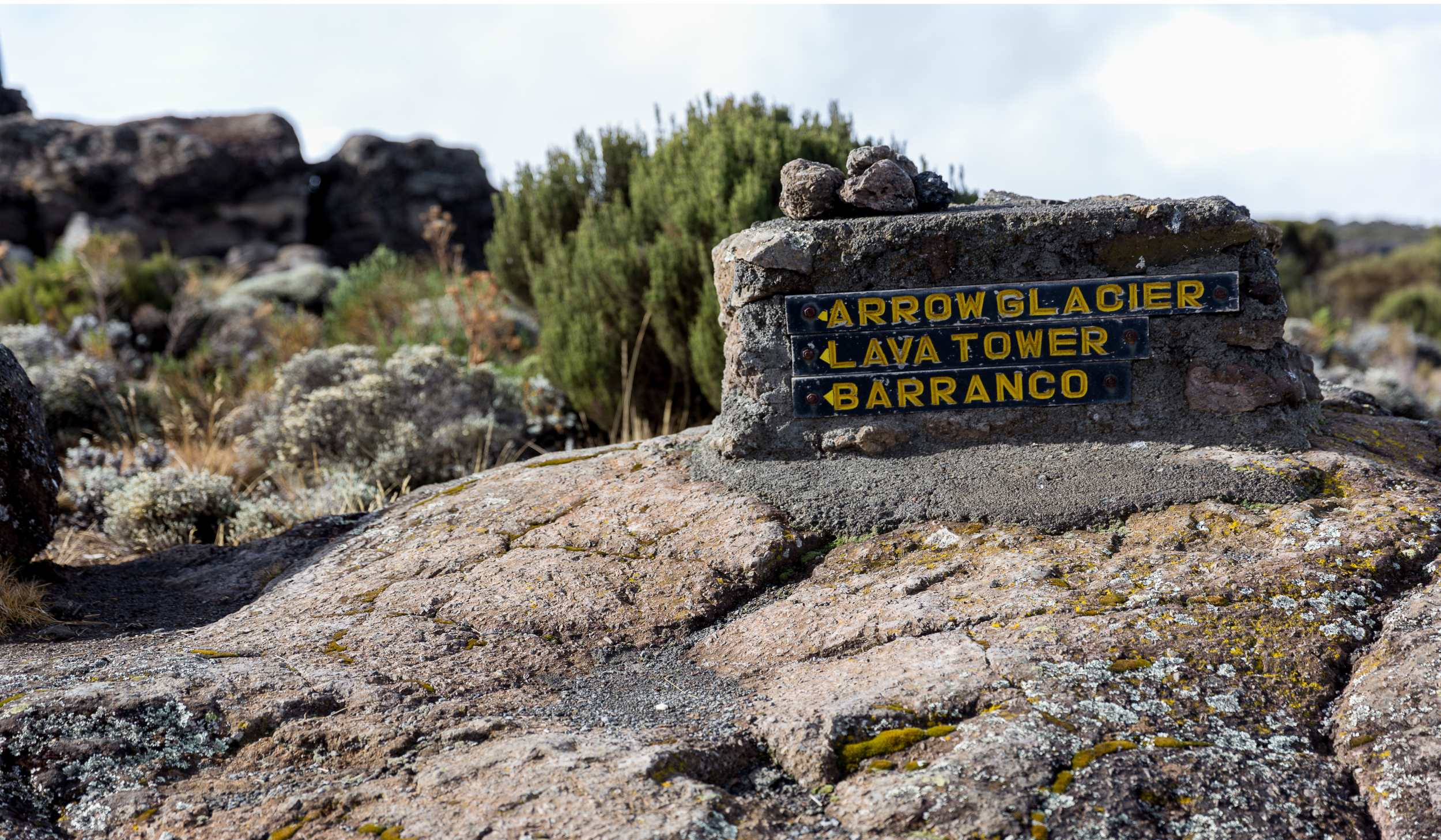 Machame Route (3/7) | Shira Camp (3 839 m) – Lava Tower (4 630 m) – Barranco Camp (3 950 m)