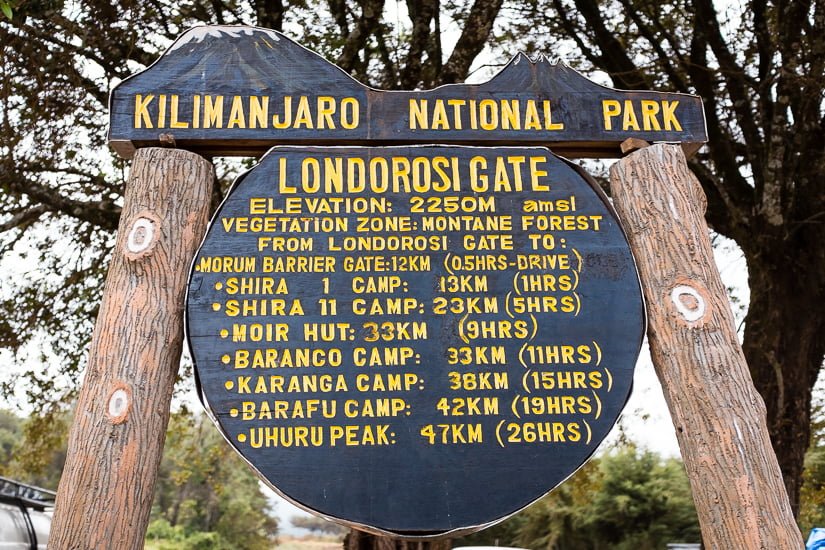 Lemosho Route (1/8) | Lemosho Gate (2 100 m) – Big Tree Camp (2 780 m)
