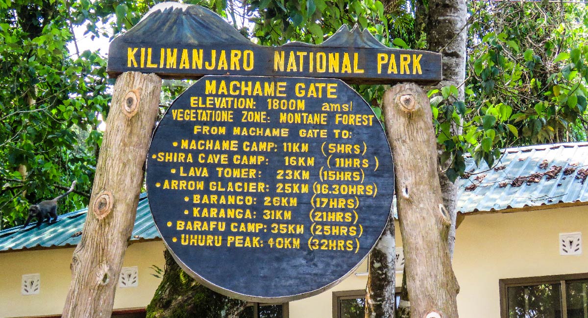 Machame Route (1/7) | Machame Gate (1 800 m) – Machame Camp (2 835 m)