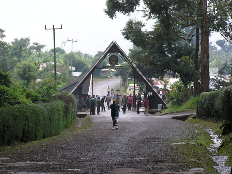 Marangu Route (5/5) | Horombo Huts (3 720 m) – Marangu Gate (1 830 m) – Hotell