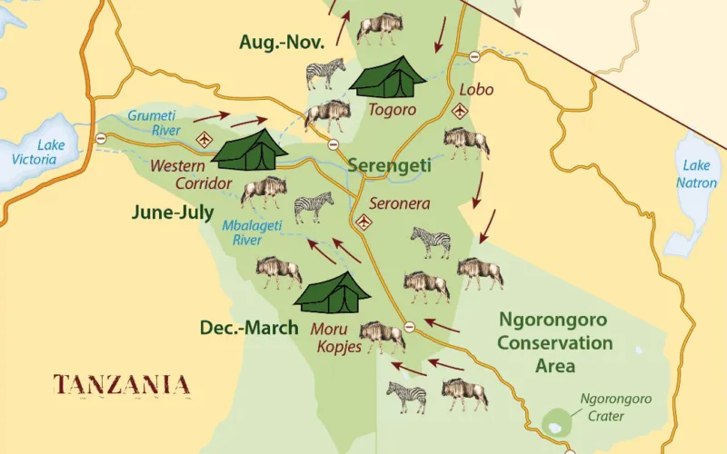 Kart med illustrasjoner som viser den beste tiden å besøke Serengeti