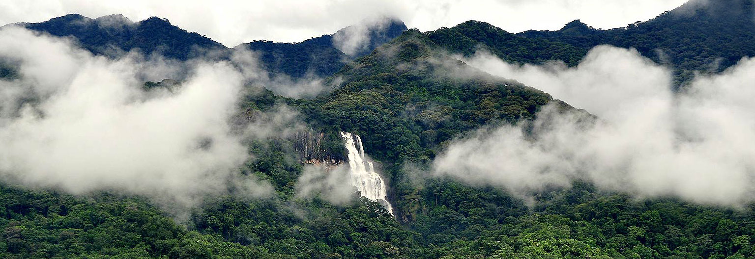 Udzungwa Mountains nasjonalpark