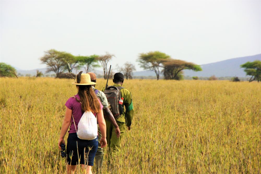 Mennesker går i grønt landskap, ansvarlig turisme i Tanzania