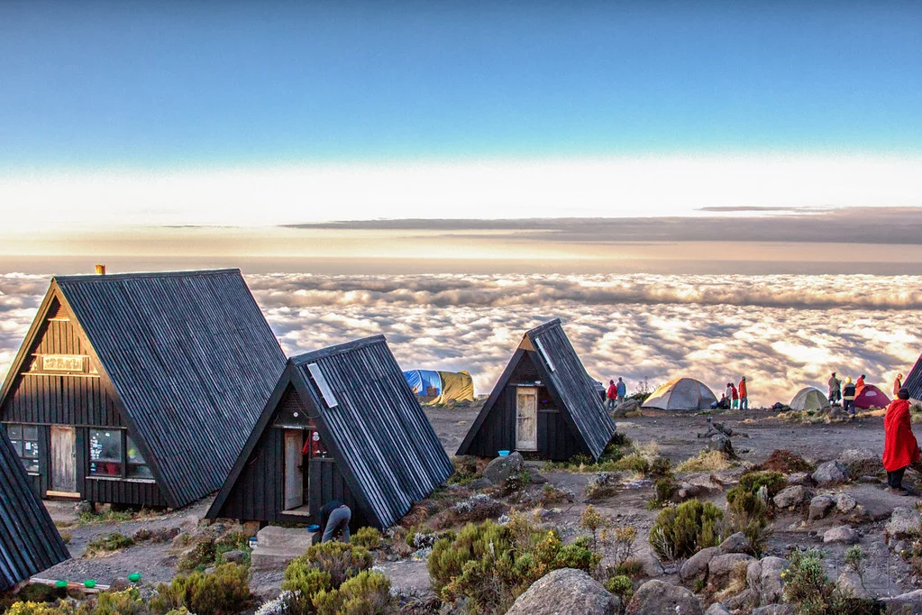 Marangu Route (2/5) | Mandara Huts (2 720 m) – Horombo Huts (3 720 m)