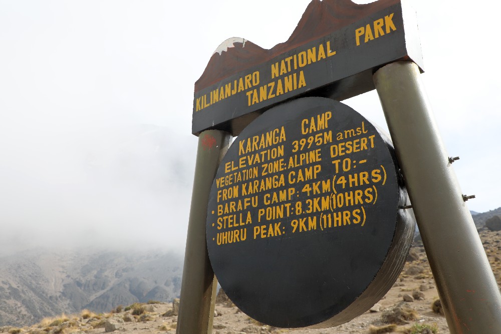 Machame Route (4/7) | Barranco Camp (3 950 m) – Karanga Camp (4 040 m)