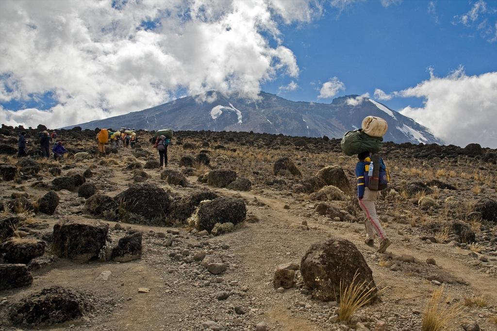 Lemosho Route (1/7) | Drop off (3 500 m) – Shira 1 Camp (3 510 m)