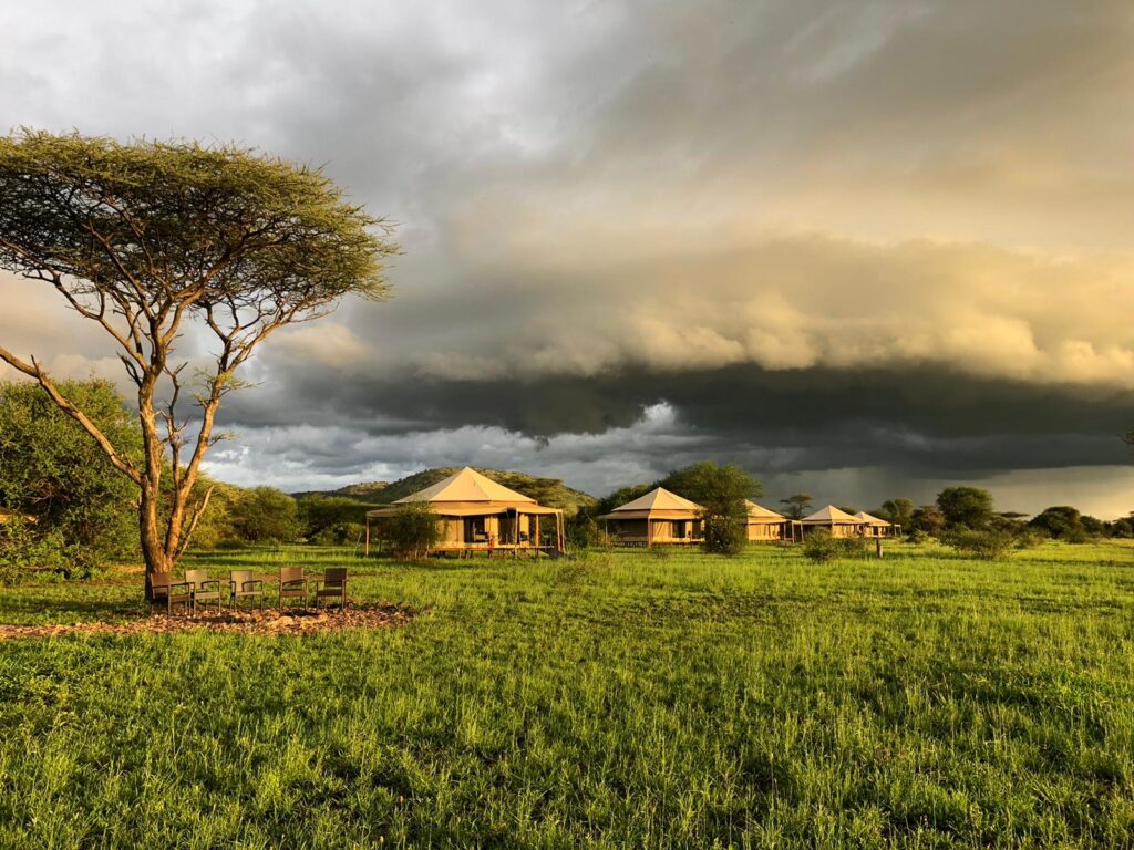 Hytter står på rekke i grønt landskap, safari lodge i Tanzania