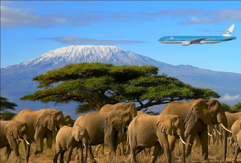 Ankomst til Kilimanjaro internasjonale lufthavn før bestigningen din