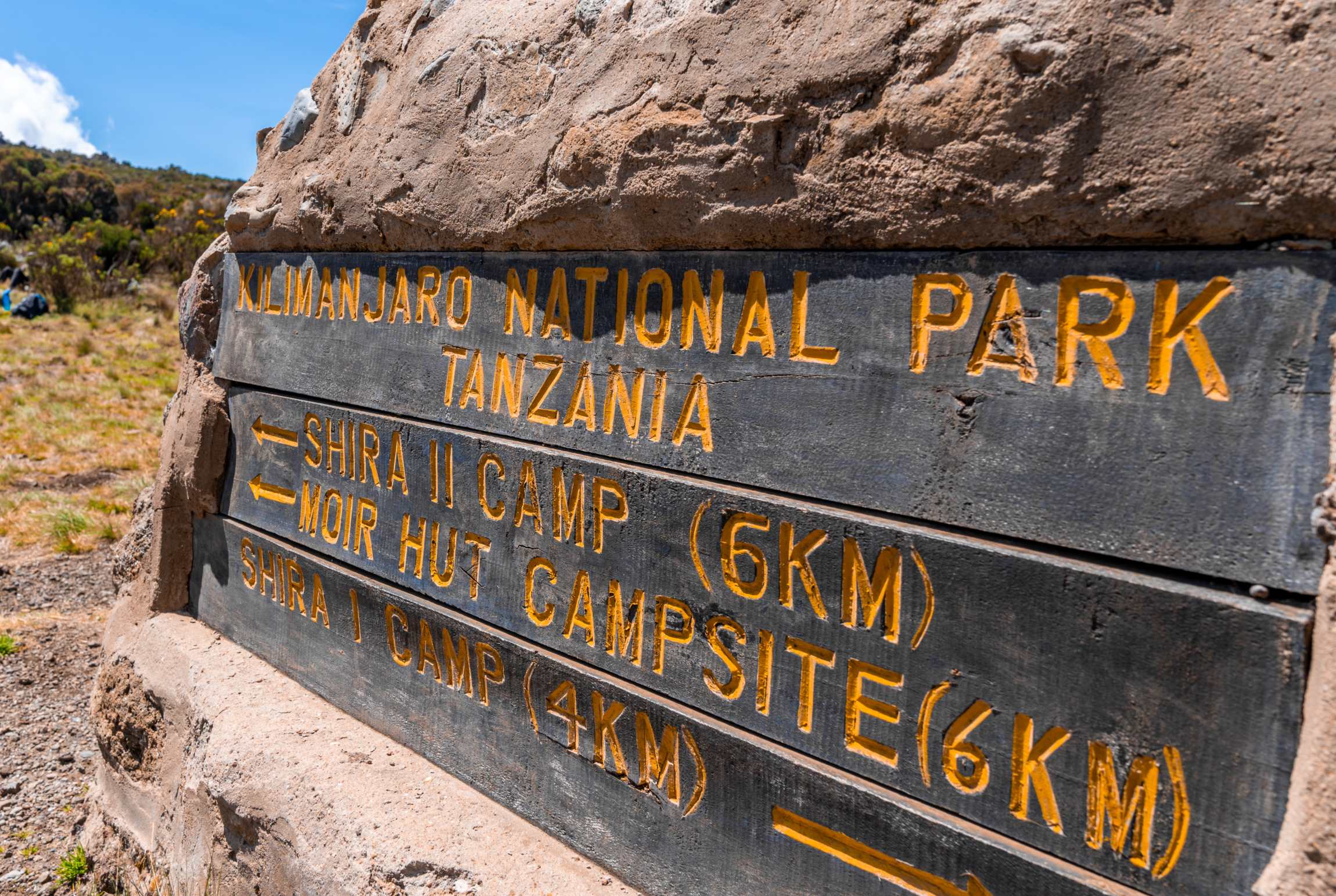 Nordlige Rute (2/8) | Big Tree Camp (2 780 m) - Shira 1 Camp (3 510 m)