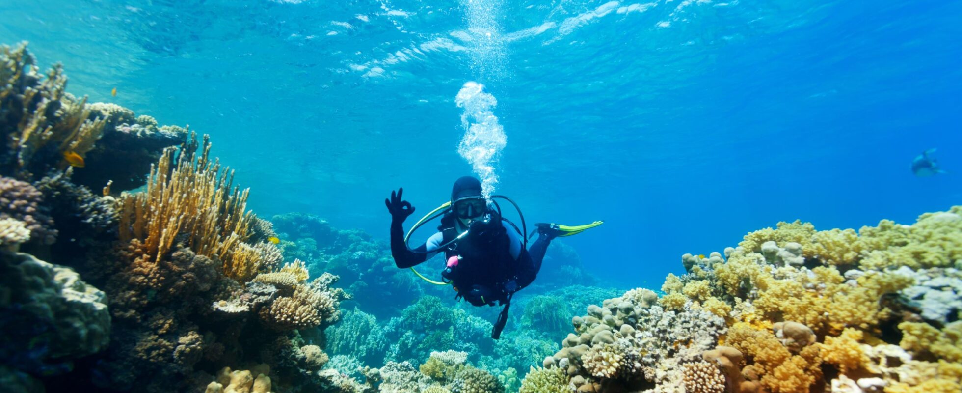 Person under vann som dykker på Zanzibar