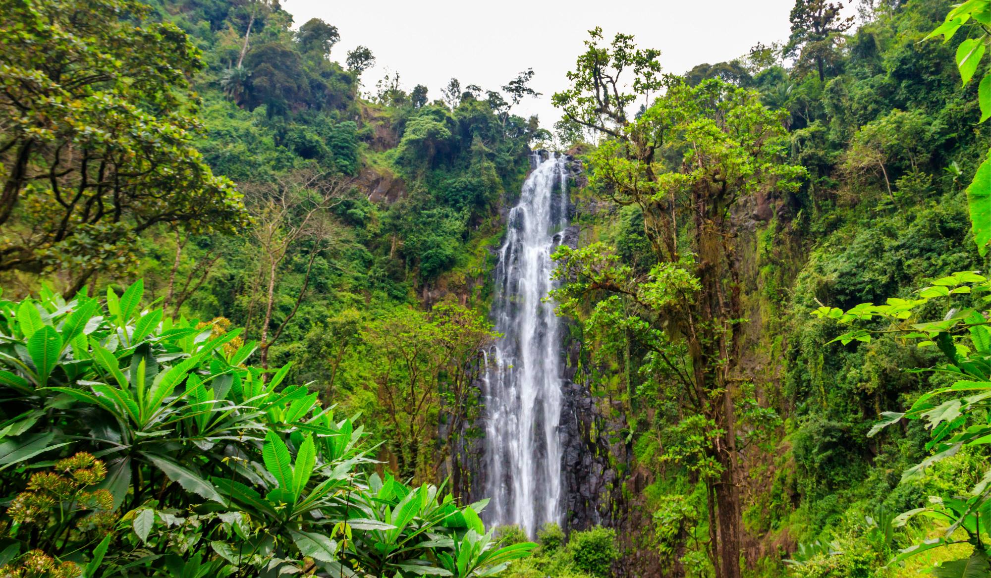 Vandring fra Materuni village til Kuringe waterfall