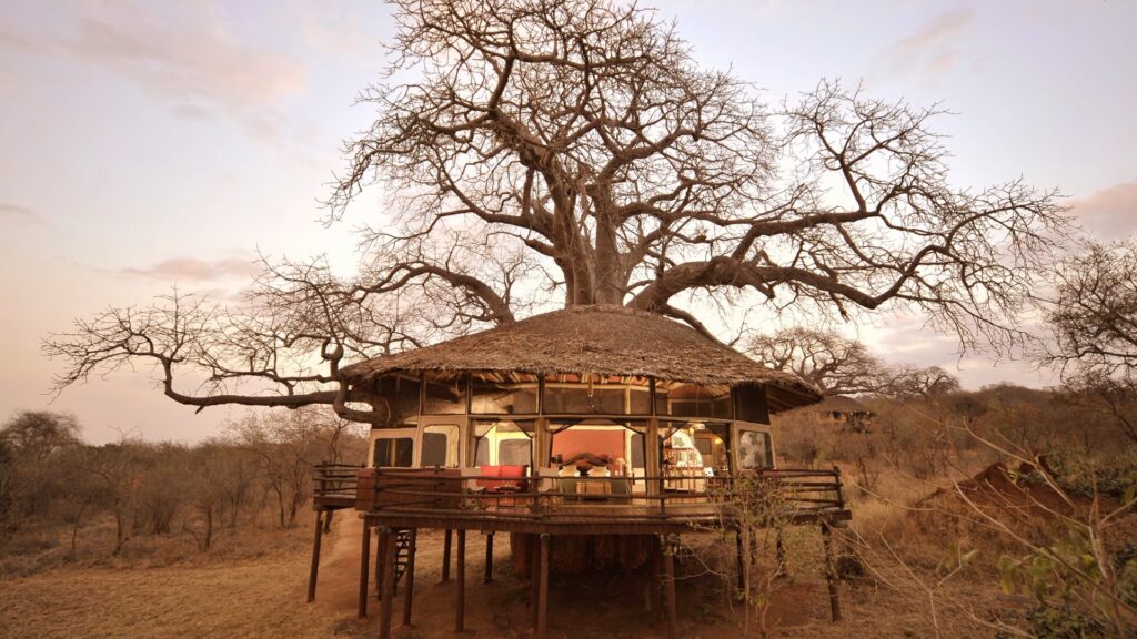Trehytte på Tarangire Treetops by Elewana lodge