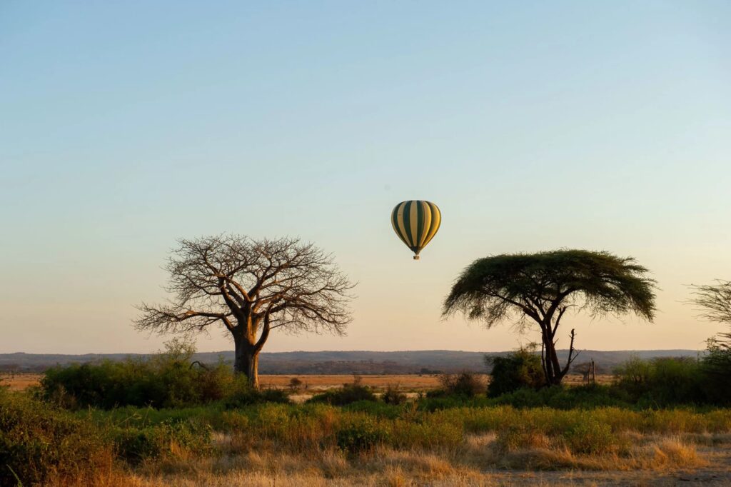 Savannelandskap safari i Tanzania