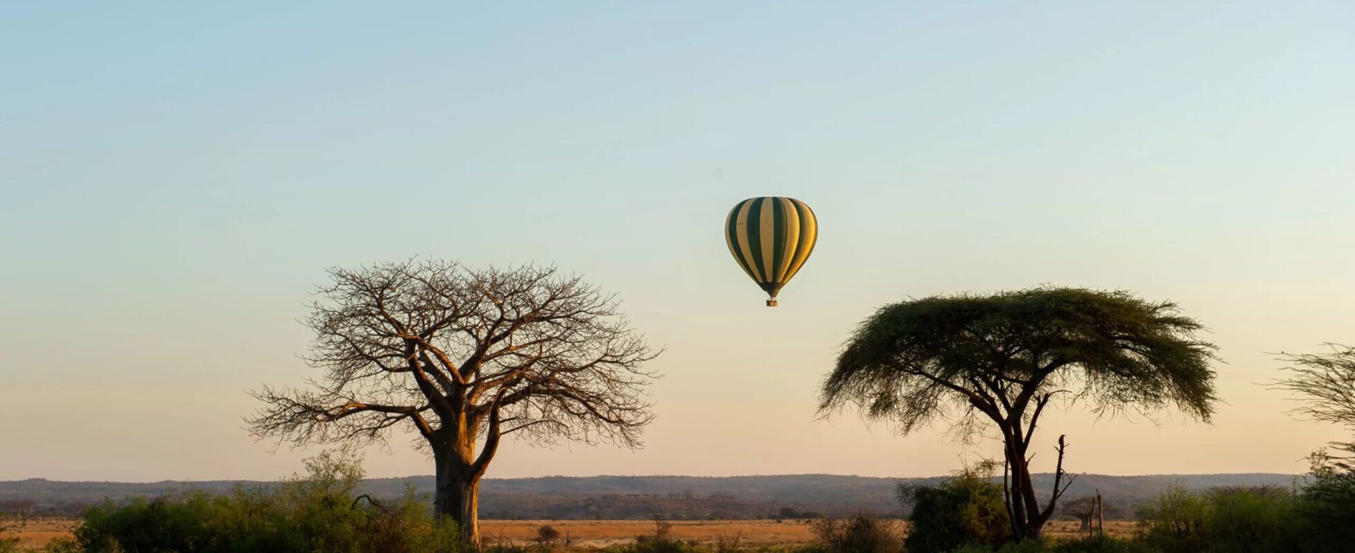 Savannelandskap safari i Tanzania