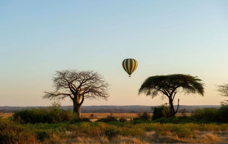 Savannelandskap safari i Tanzania
