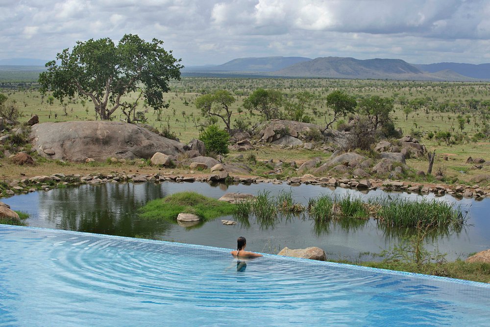Serengeti four seasons safari lodge basseng og grønt område rundt