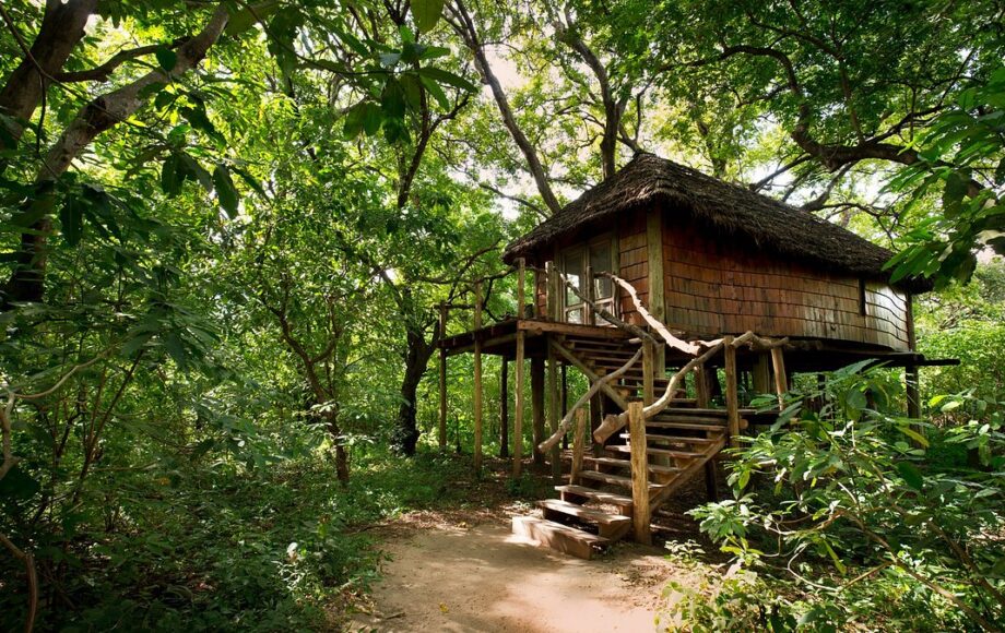 Familiesafari Tanzania. Innkvartering i tre-bungalow med trapper i jungelen ved Lake Manyara