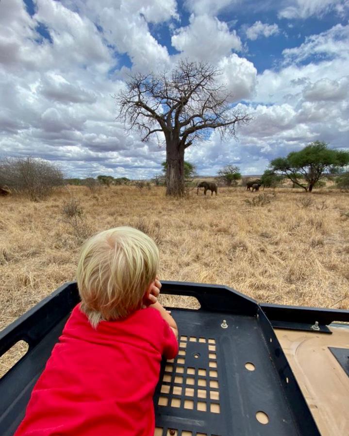 Tanzania-safari, barn ser på elefanter under tre