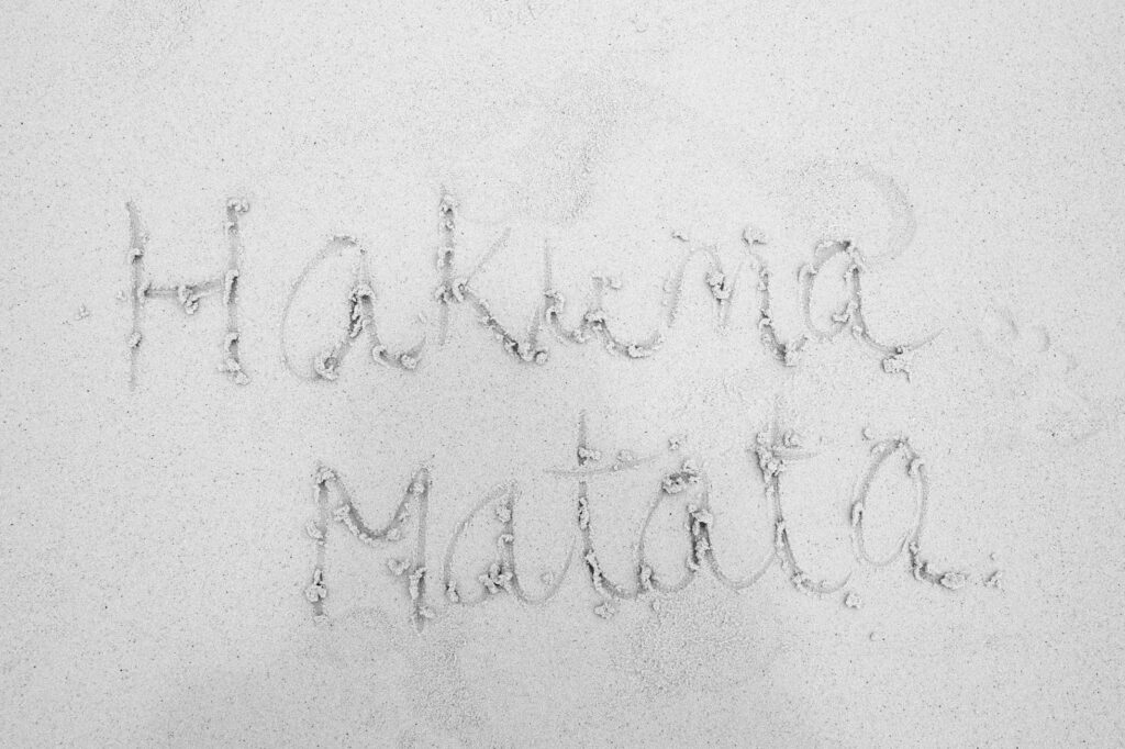 Hakuna Matata skrevet i sanden, bøker om Tanzania