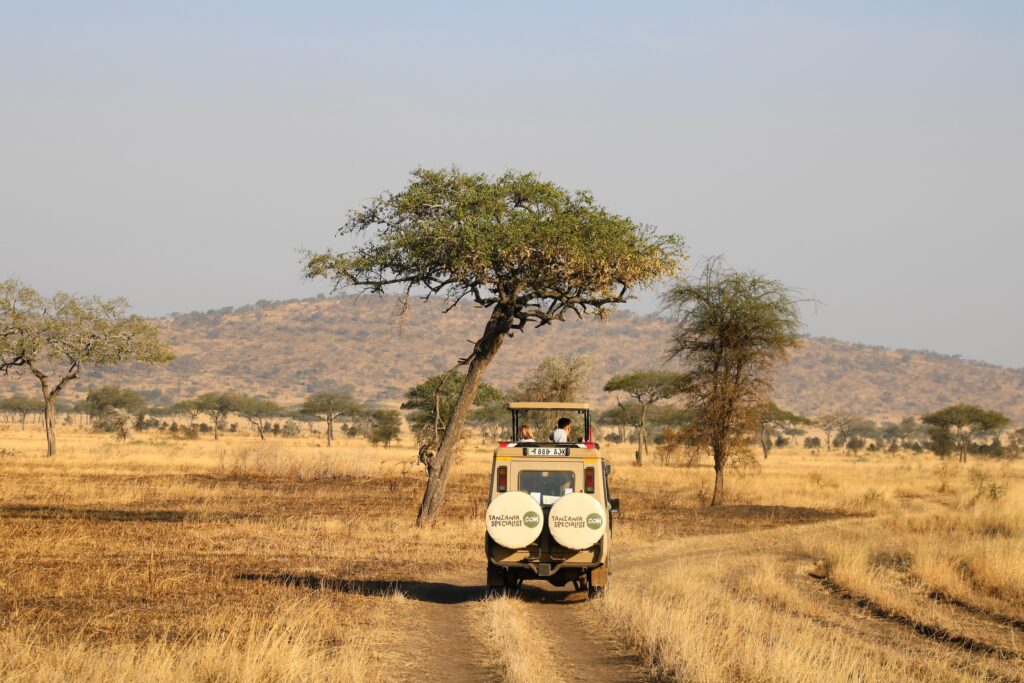 Beste tid å besøke Tanzania: Tørr sesong savanne Tanzania Specialist jeep