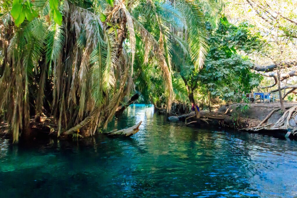 Kikuletwa Hot Springs i Tanzania Moshi