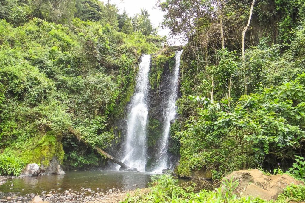 Marangu Waterfalls i Tanzania foss