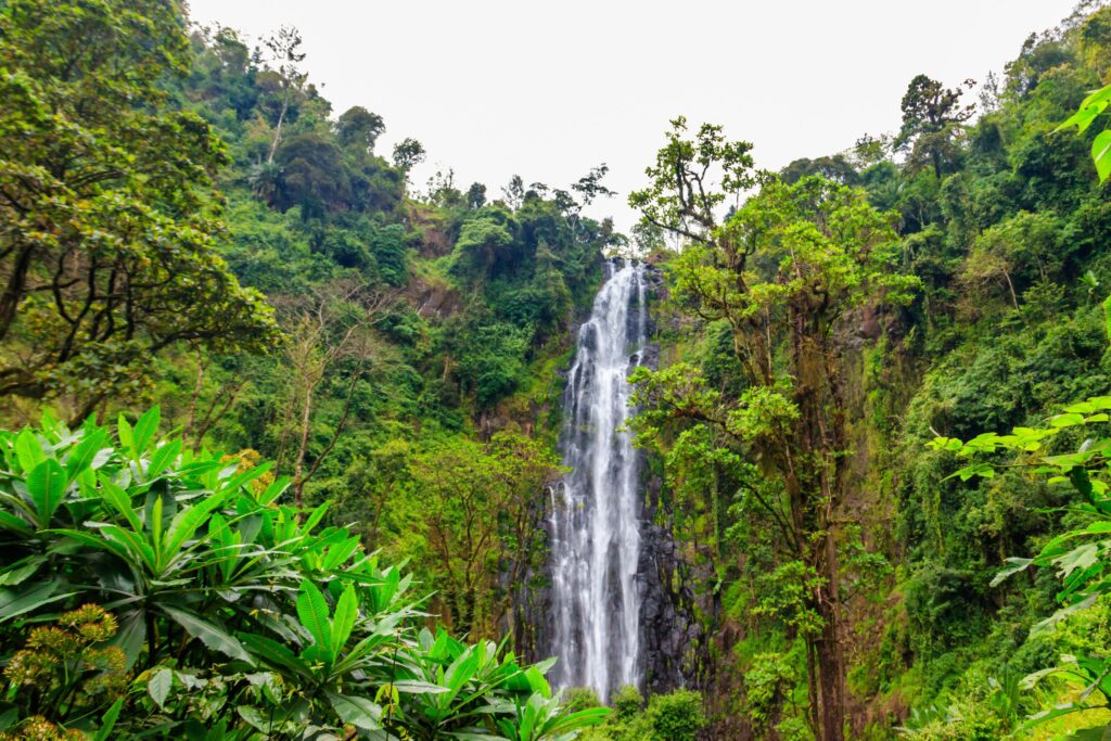 Materuni Waterfall i Moshi, Tanzania foss