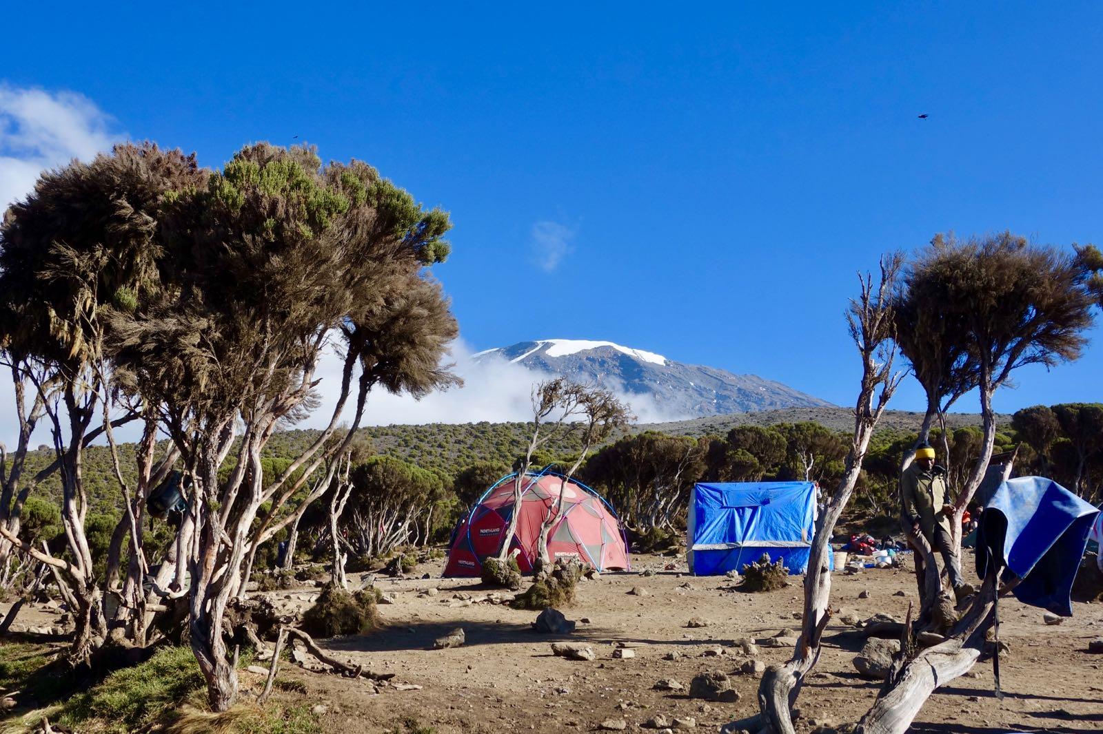 Nordlige Rute (7/8) | School Huts (4 710 m) – Uhuru Peak (5 895 m) – Millenium Camp (3 820 m)