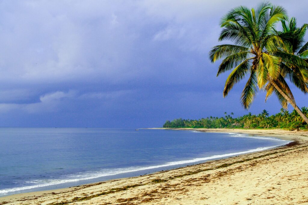 Strand på Pangani, Tanzania, med palmetrær