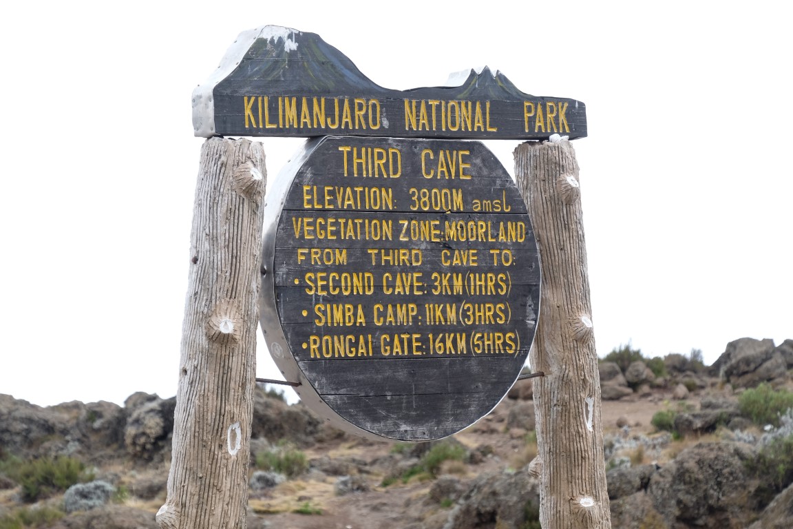 Nordlige Rute (5/8) | Buffalo Camp (3 995 m) – Third Cave Camp (3 930 m)