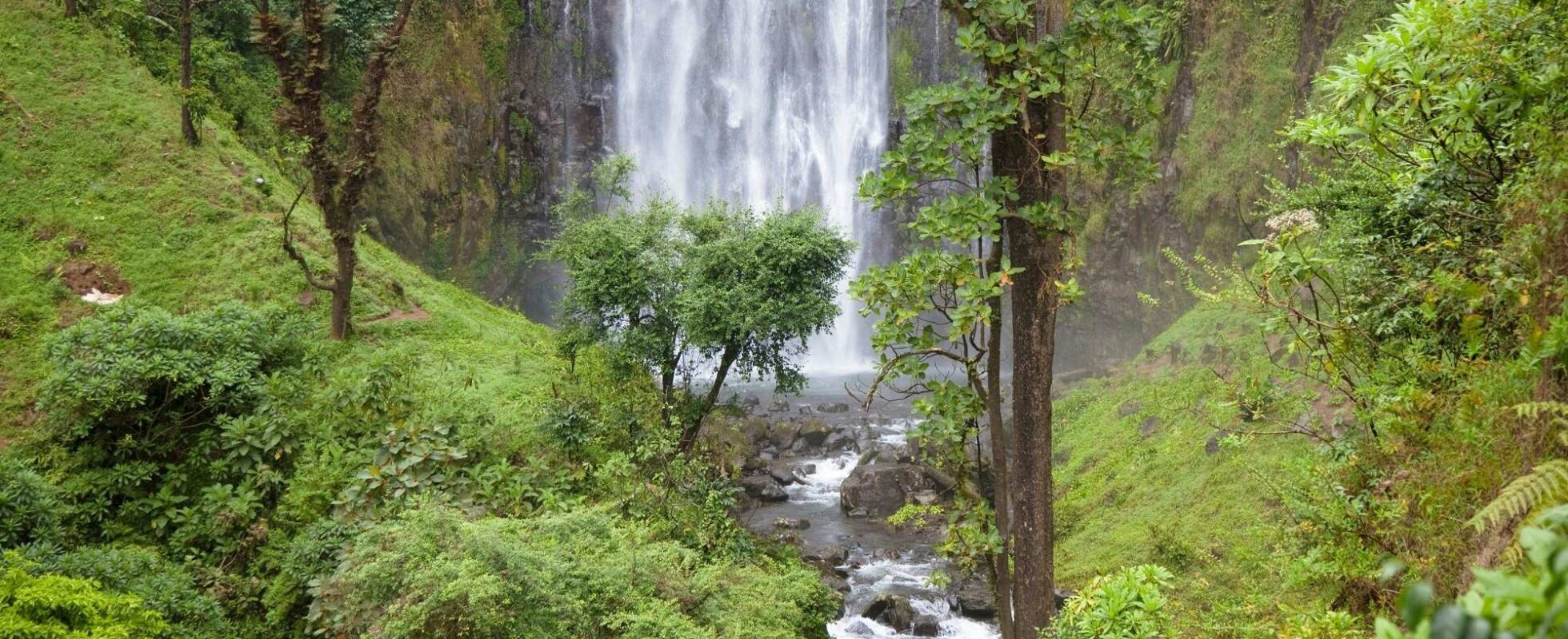 Tanzania-foss omkranset av frodig grønt landskap