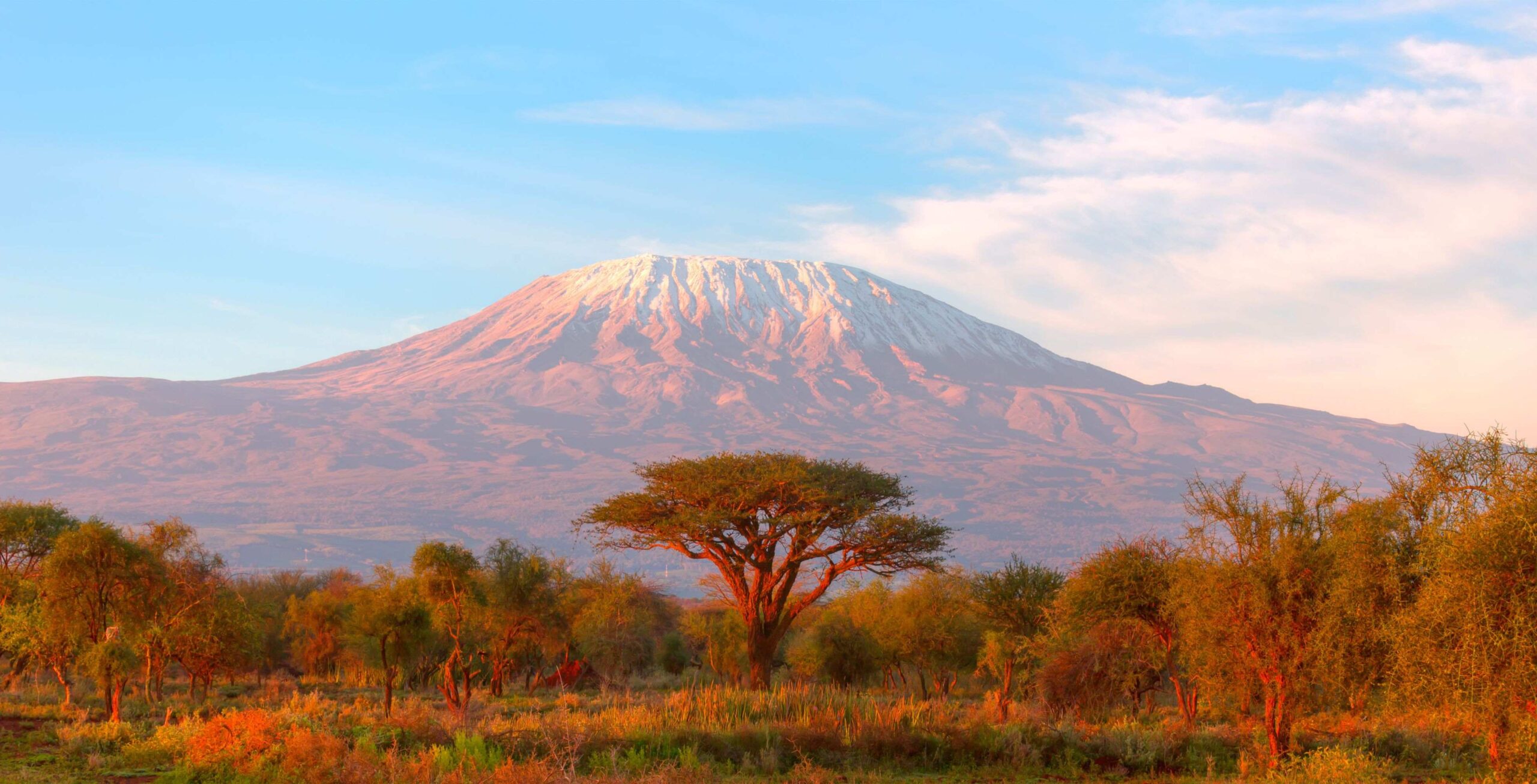 Rongai Route (1/6) | Rongai Gate (1 950 m) – First Cave Camp (2 650 m)
