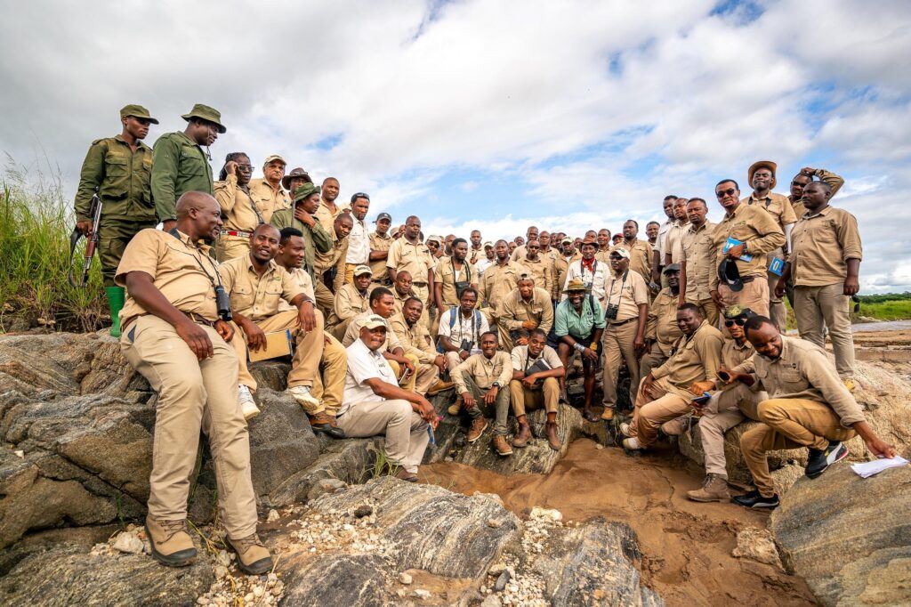A collection of safari guides from Tanzania Specialist.