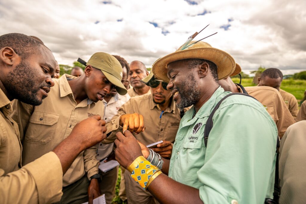 Tanzania safari. Guider fra Tanzania Specialist