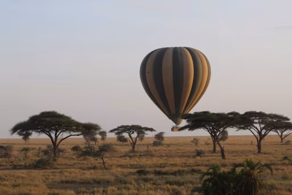 Safari i Serengeti med varmluftsballong