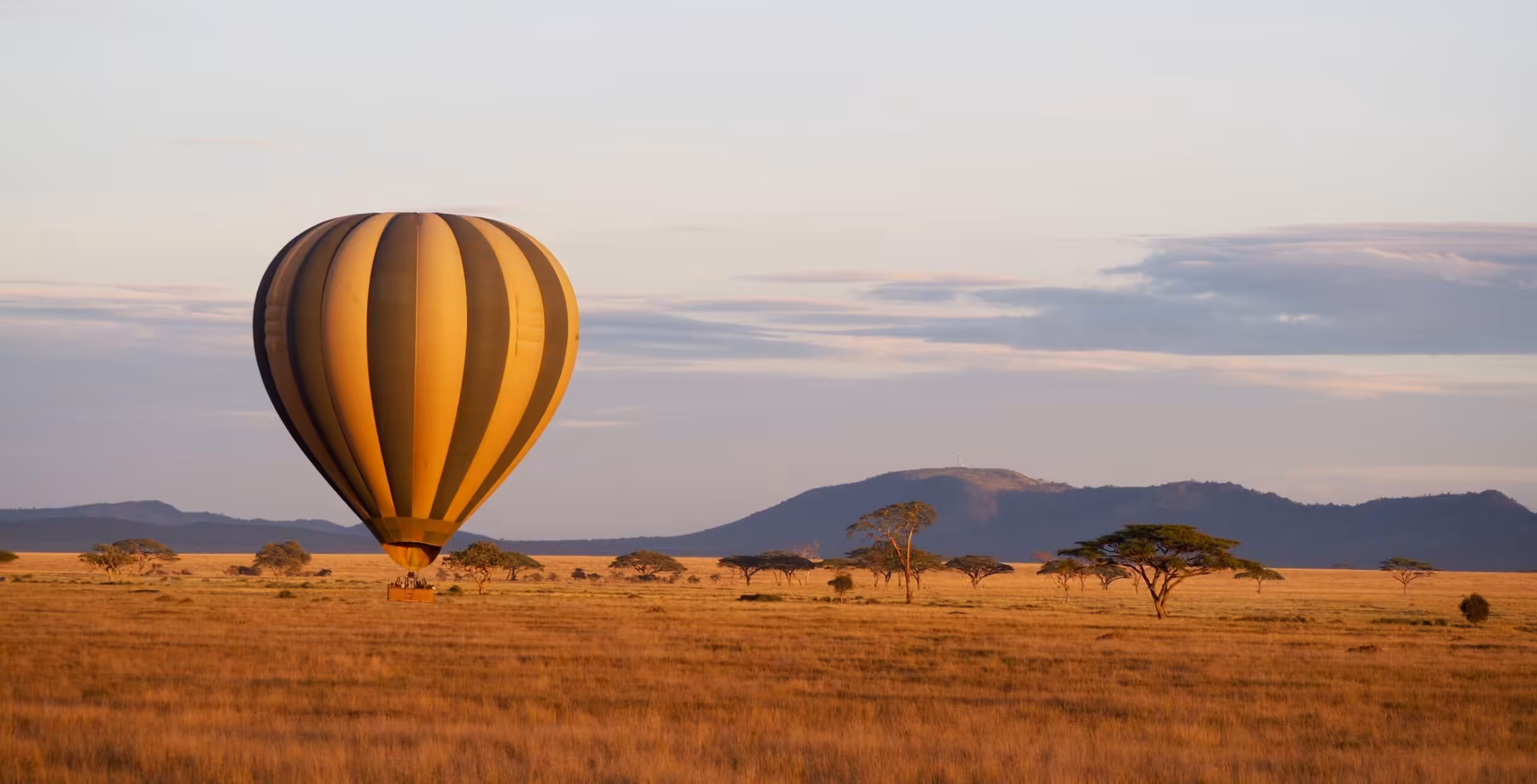 Serengeti Nasjonalpark - luksussafari!