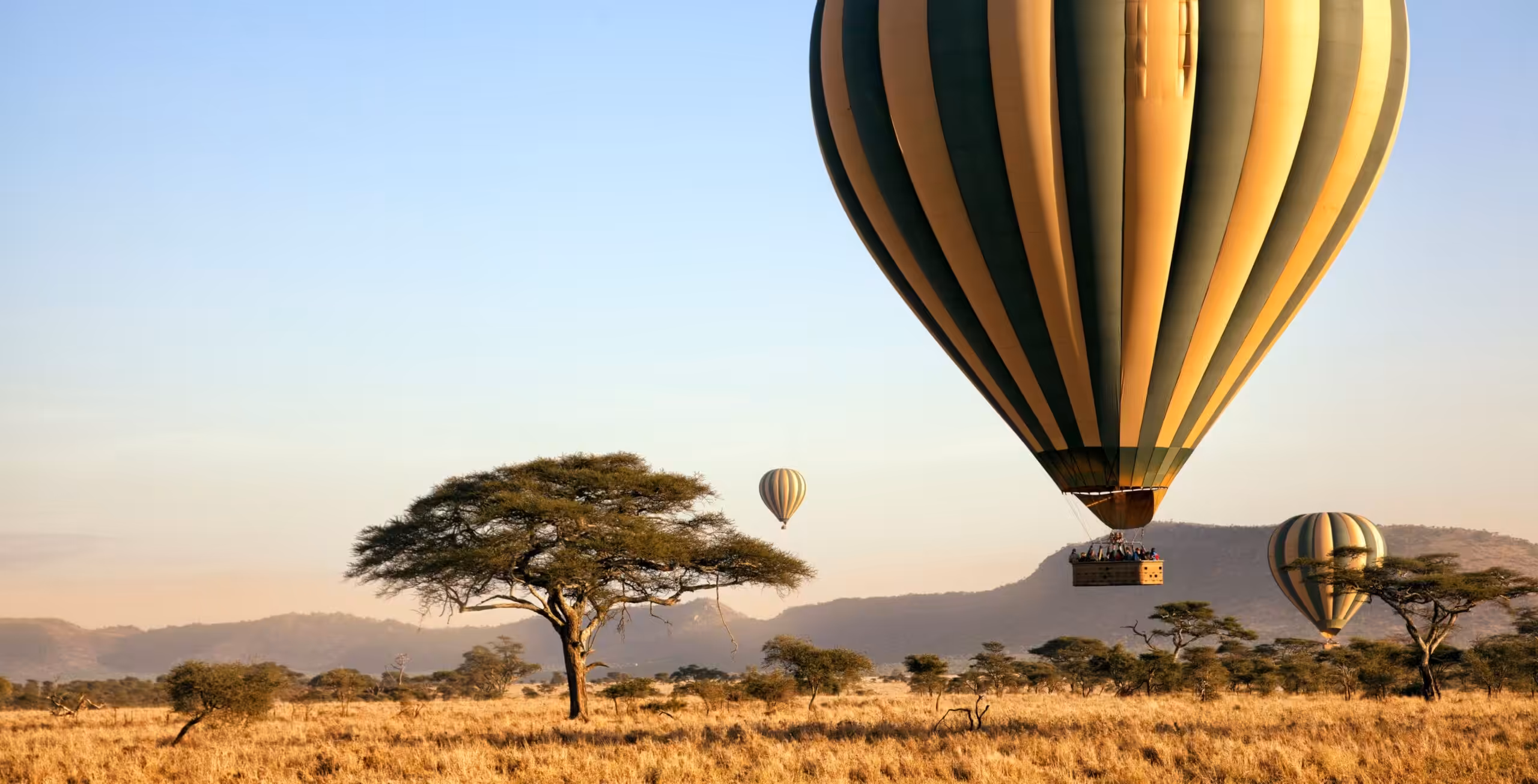 Serengeti Nasjonalpark (sentrale vest/øst)