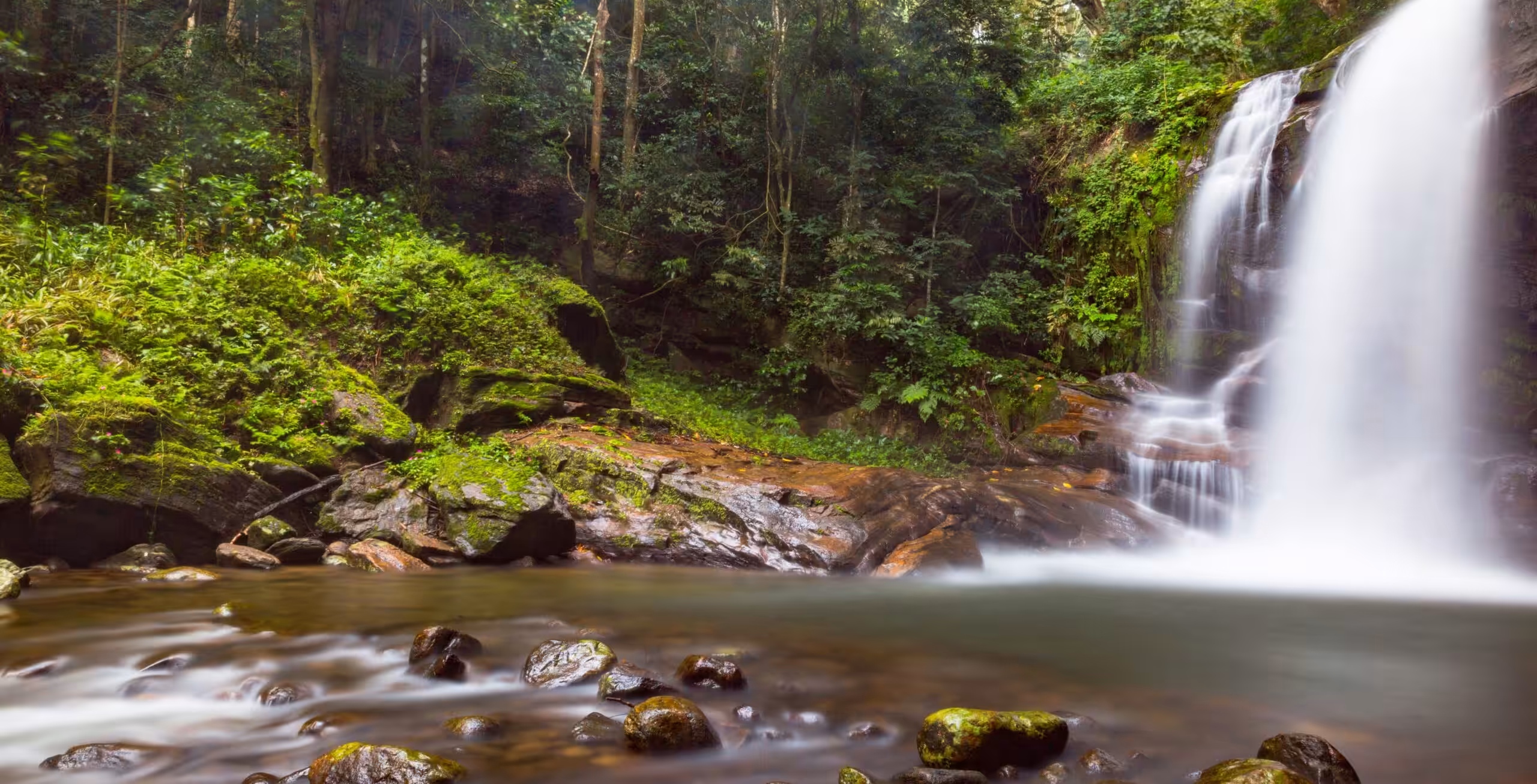 Udzungwa Mountains nasjonalpark