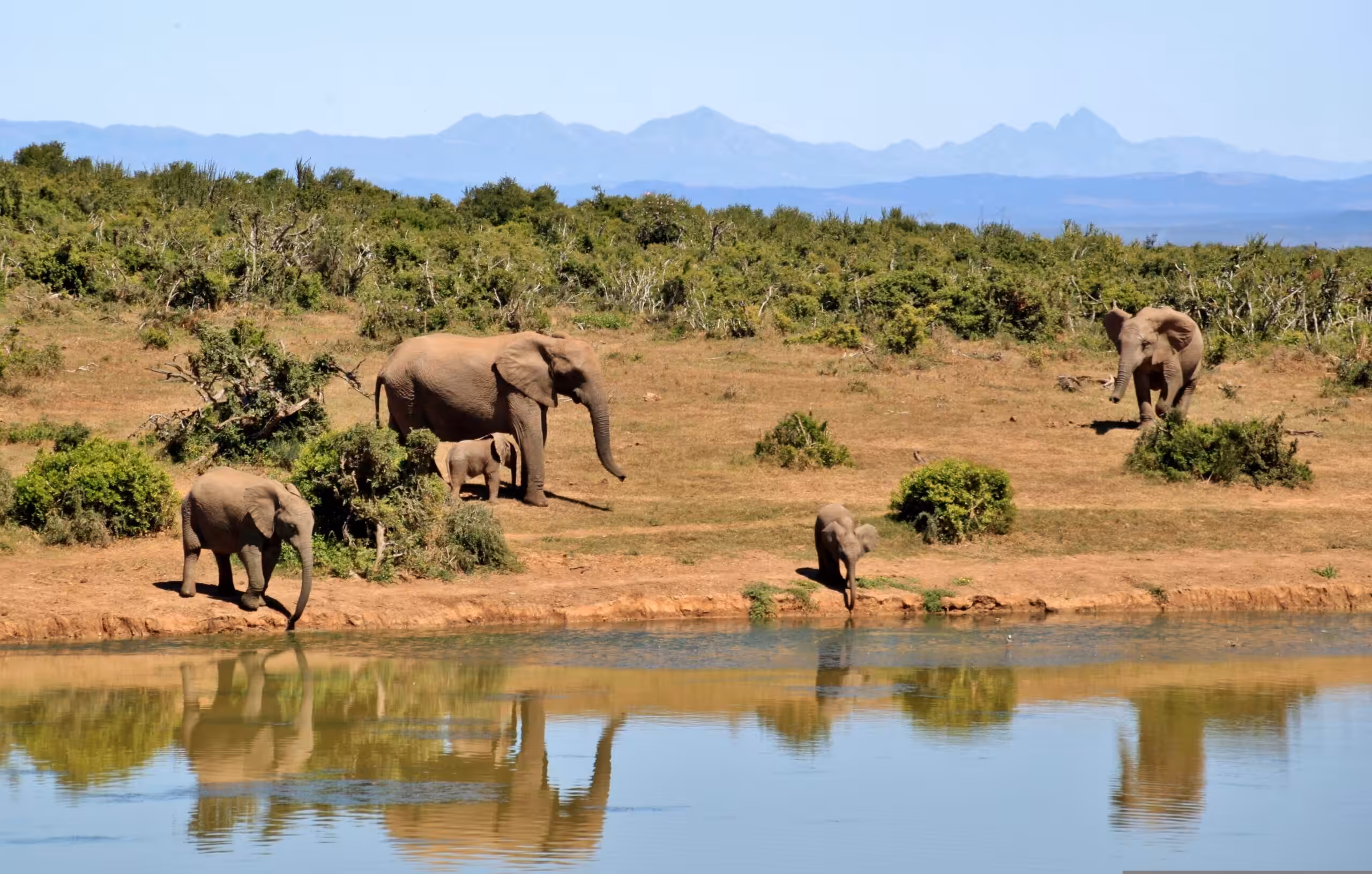 Tarangire Nasjonalpark - opplev luksussafari med fly!
