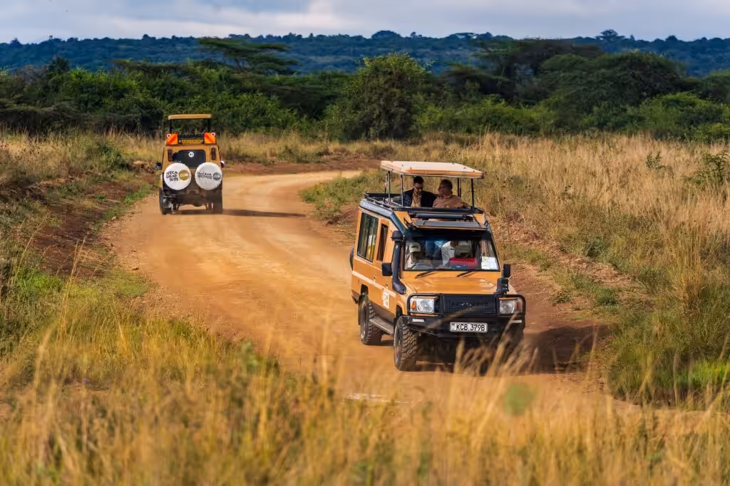 Africa Safari jeep