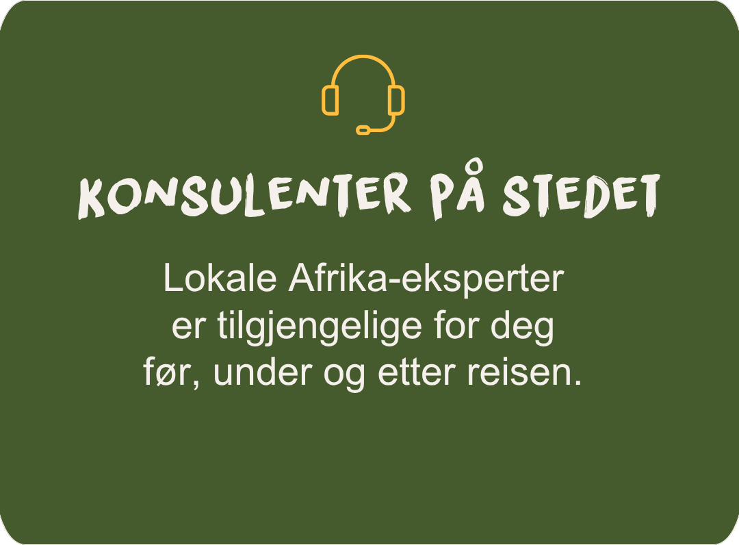 On-site consultants