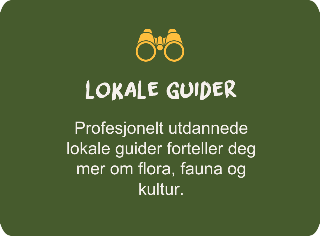 Local guides
